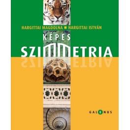 Képes szimmetria Képes szimmetria